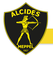 M.V.V.Alcides